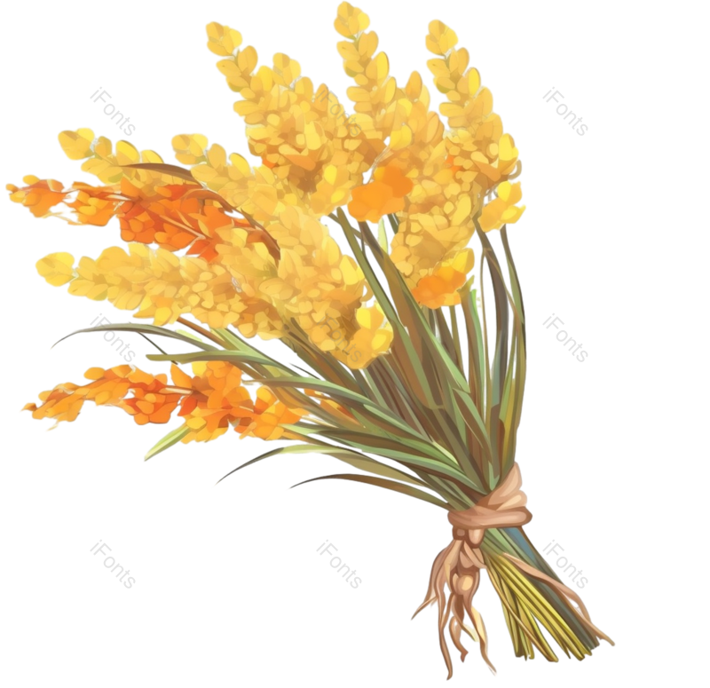 叶子图片,芒种元素,元素PNG,黄色叶子免抠素材